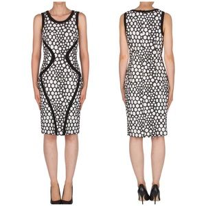 NWT Joseph Ribkoff Bee Print Dress